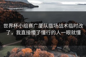 世界杯小组赛广厦队临场战术临时改了，我直接懵了懂行的人一眼就懂