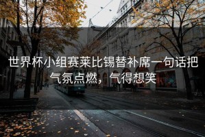 世界杯小组赛莱比锡替补席一句话把气氛点燃，气得想笑