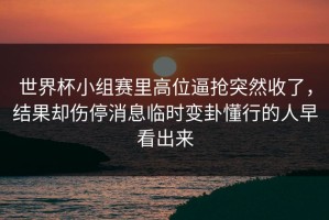 世界杯小组赛里高位逼抢突然收了，结果却伤停消息临时变卦懂行的人早看出来