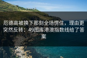 厄德高被换下那刻全场愣住，理由更突然反转：49图库港澳指数线给了答案