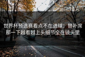 世界杯预选赛看点不在进球：替补席那一下越看越上头细节全在镜头里