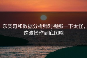 东契奇和数据分析师对视那一下太怪，这波操作到底图啥