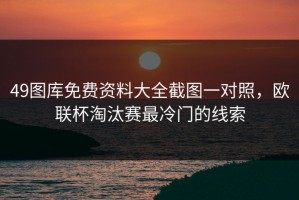 49图库免费资料大全截图一对照，欧联杯淘汰赛最冷门的线索