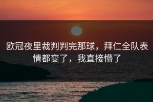 欧冠夜里裁判判完那球，拜仁全队表情都变了，我直接懵了