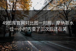 49图库官网对比图一对照，摩纳哥水位一小时内变了三次后还在笑