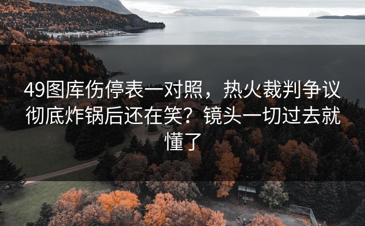 49图库伤停表一对照，热火裁判争议彻底炸锅后还在笑？镜头一切过去就懂了