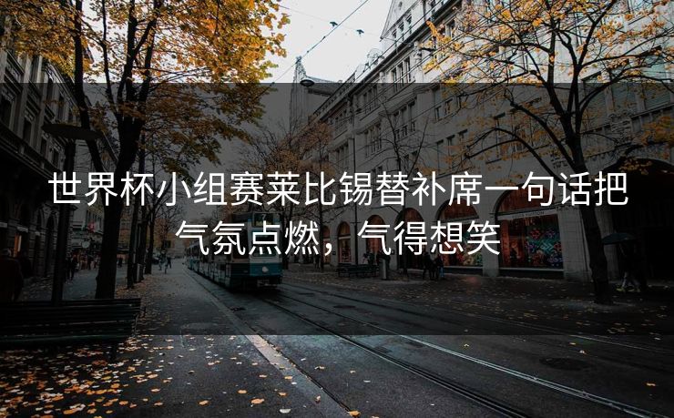 世界杯小组赛莱比锡替补席一句话把气氛点燃，气得想笑