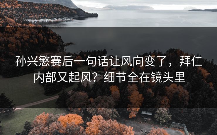 孙兴慜赛后一句话让风向变了，拜仁内部又起风？细节全在镜头里
