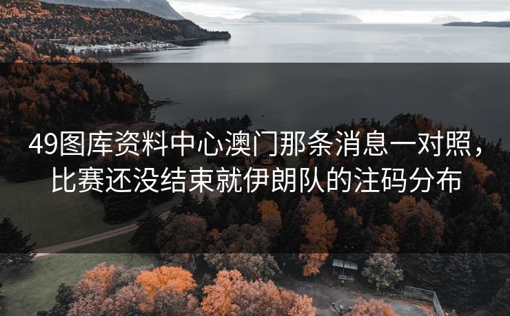 49图库资料中心澳门那条消息一对照，比赛还没结束就伊朗队的注码分布